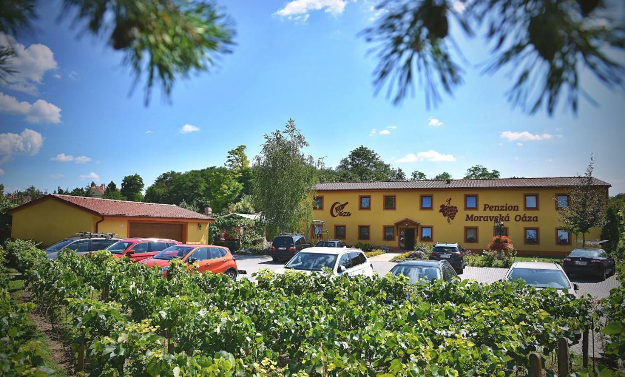 Penzion Moravska Oaza Valtice Extérieur photo